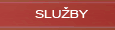 Slu�by